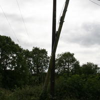 Images-og-024