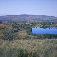 Shannon-Pot-021
