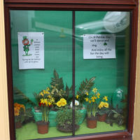 St-Patricks-Day-068