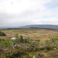037-Information Center in Cavan Burren Park 020