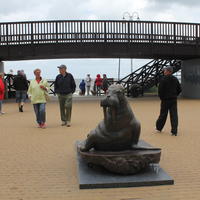 05-IMG_0025