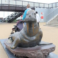06-IMG_0026
