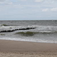 10-IMG_0029
