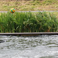 205-IMG_0542