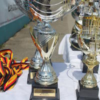 313-IMG_0791