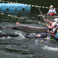 0979-Thursday 25-09-2014 World Championshios 1061