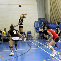 0850-IMG_1906