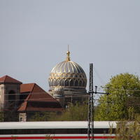 03-IMG_0872