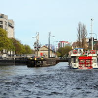 14-IMG_0884