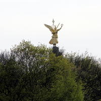 29-IMG_0902