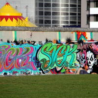 50-IMG_0925