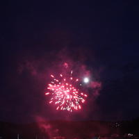 224-IMG_0356
