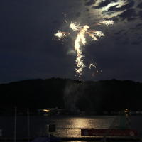239-IMG_0377