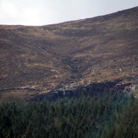 113-IMG_0390