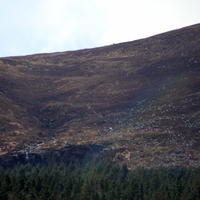 115-IMG_0393