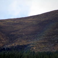 116-IMG_0394