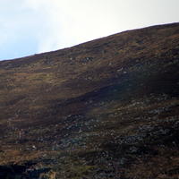 117-IMG_0395
