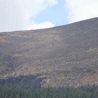 118-IMG_0396