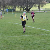 170-IMG_0449
