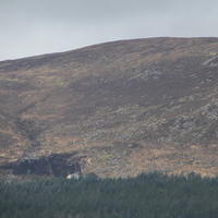 234-IMG_0516