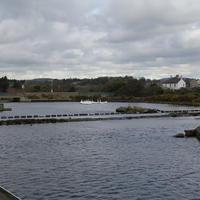 241-IMG_0524