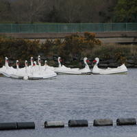 245-IMG_0528