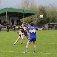 122-img_0221.jpg