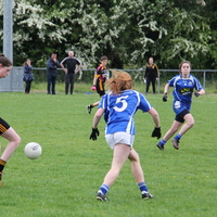 110-img_0185.jpg