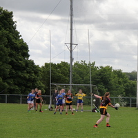 117-img_0194.jpg