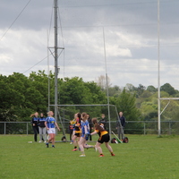 133-img_0224.jpg