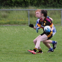 140-img_0233.jpg