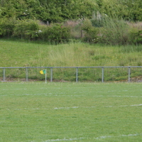 143-img_0237.jpg