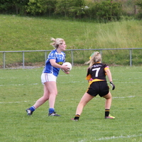 144-img_0238.jpg