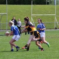 157-img_0256.jpg