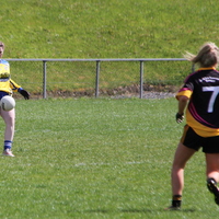 181-img_0291.jpg