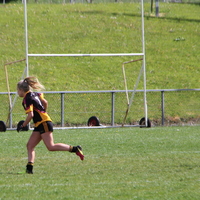 184-img_0294.jpg