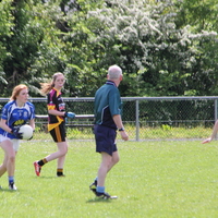 194-img_0308.jpg