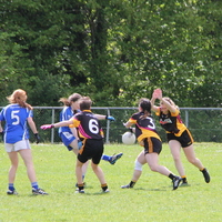 205-img_0333.jpg