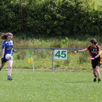 207-img_0345.jpg