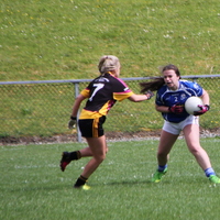 212-img_0360.jpg