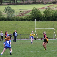 217-img_0365.jpg