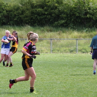 219-img_0370.jpg