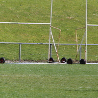 226-img_0380.jpg