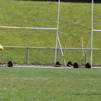 227-img_0381.jpg