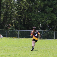 229-img_0389.jpg