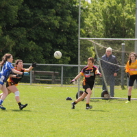 233-img_0393.jpg