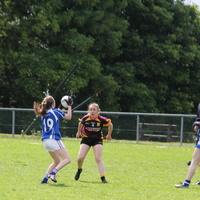 235-img_0395.jpg