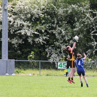 243-img_0413.jpg