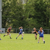 244-img_0416.jpg