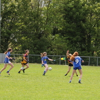 245-img_0417.jpg